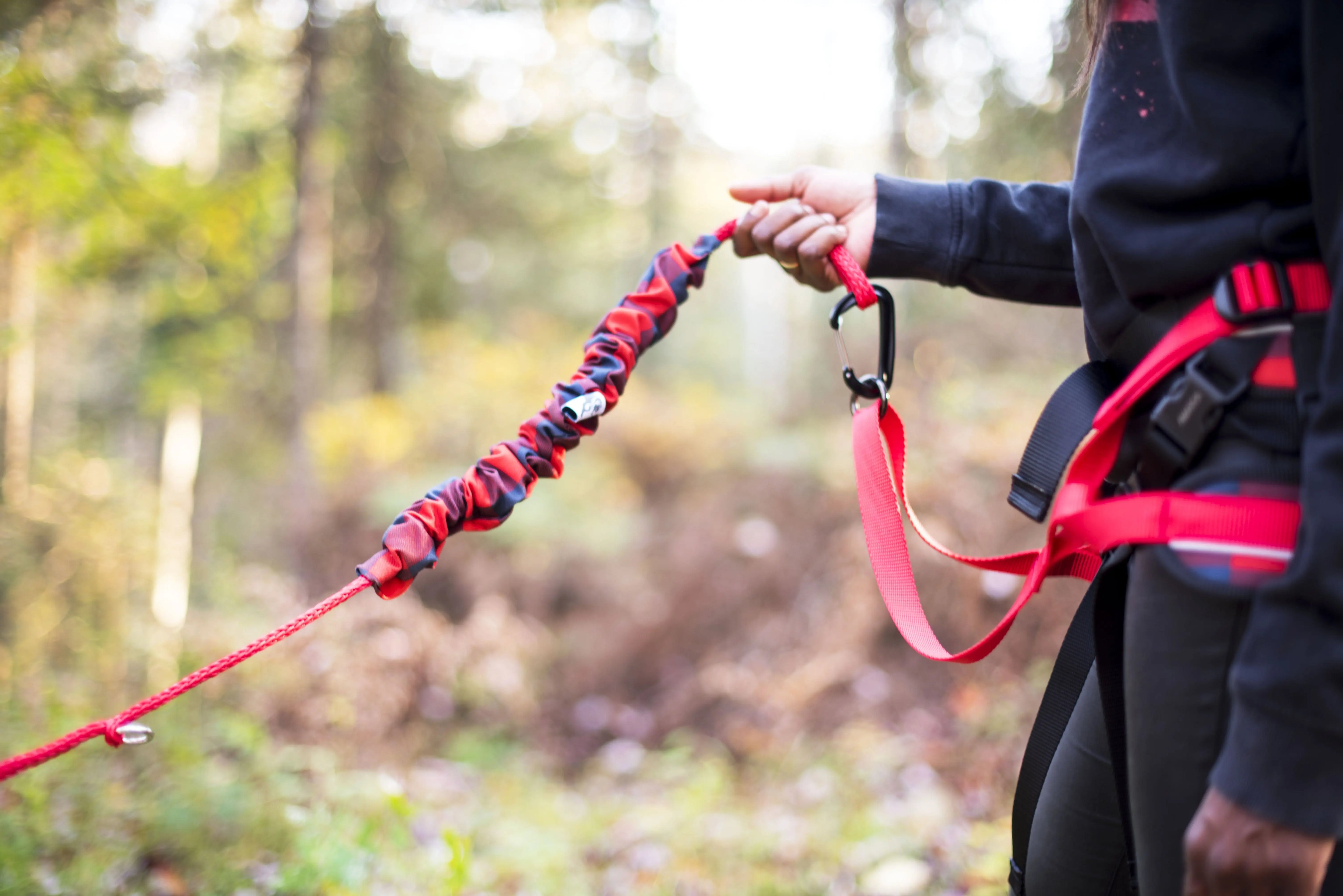 Femme avec une laisse bungee pour chien pour la pratique de sport de traction comme le canicross, skijoring, randonné, bikejoring