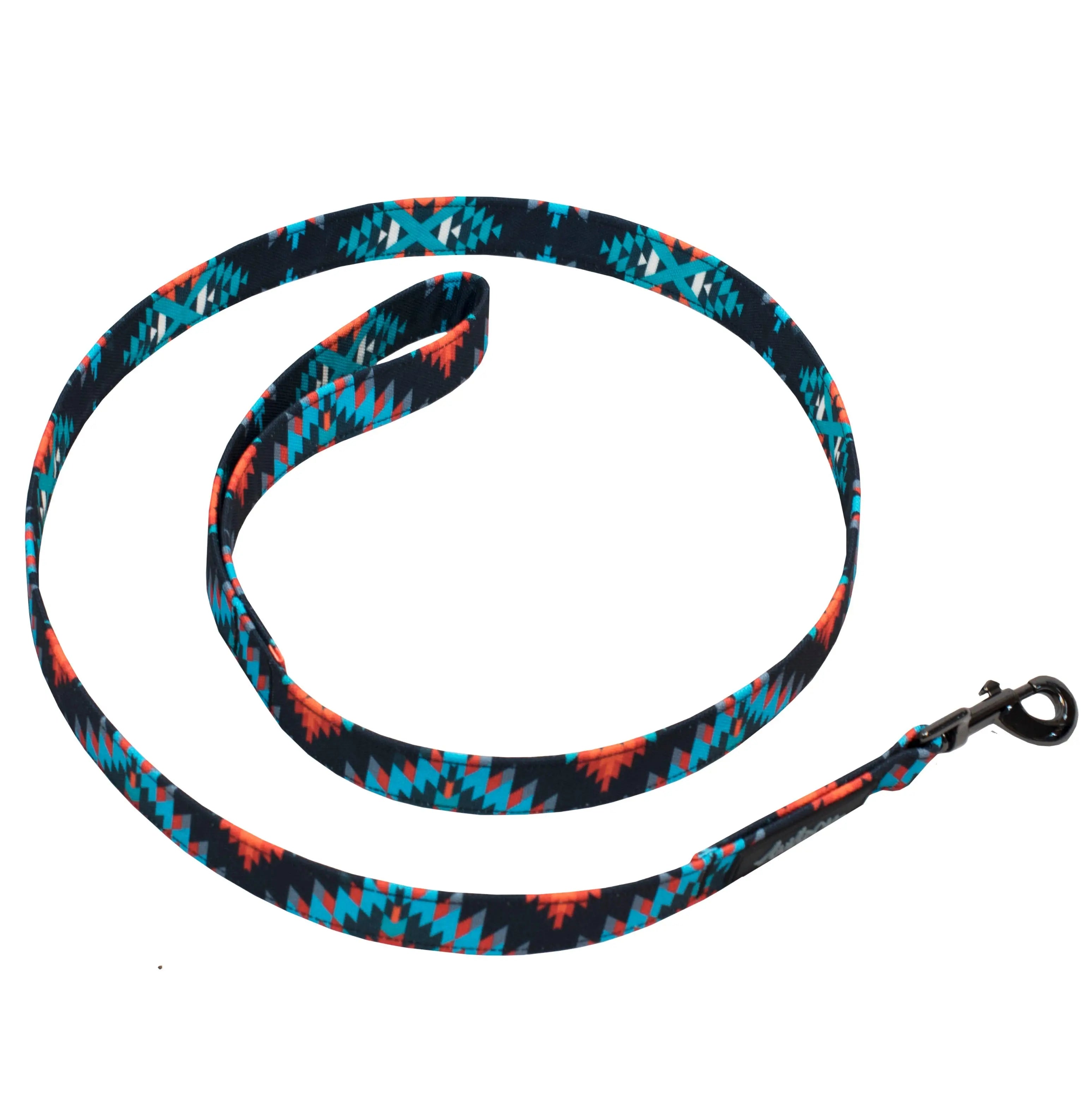 Petit chien avec une laisse classique pour chien amarok