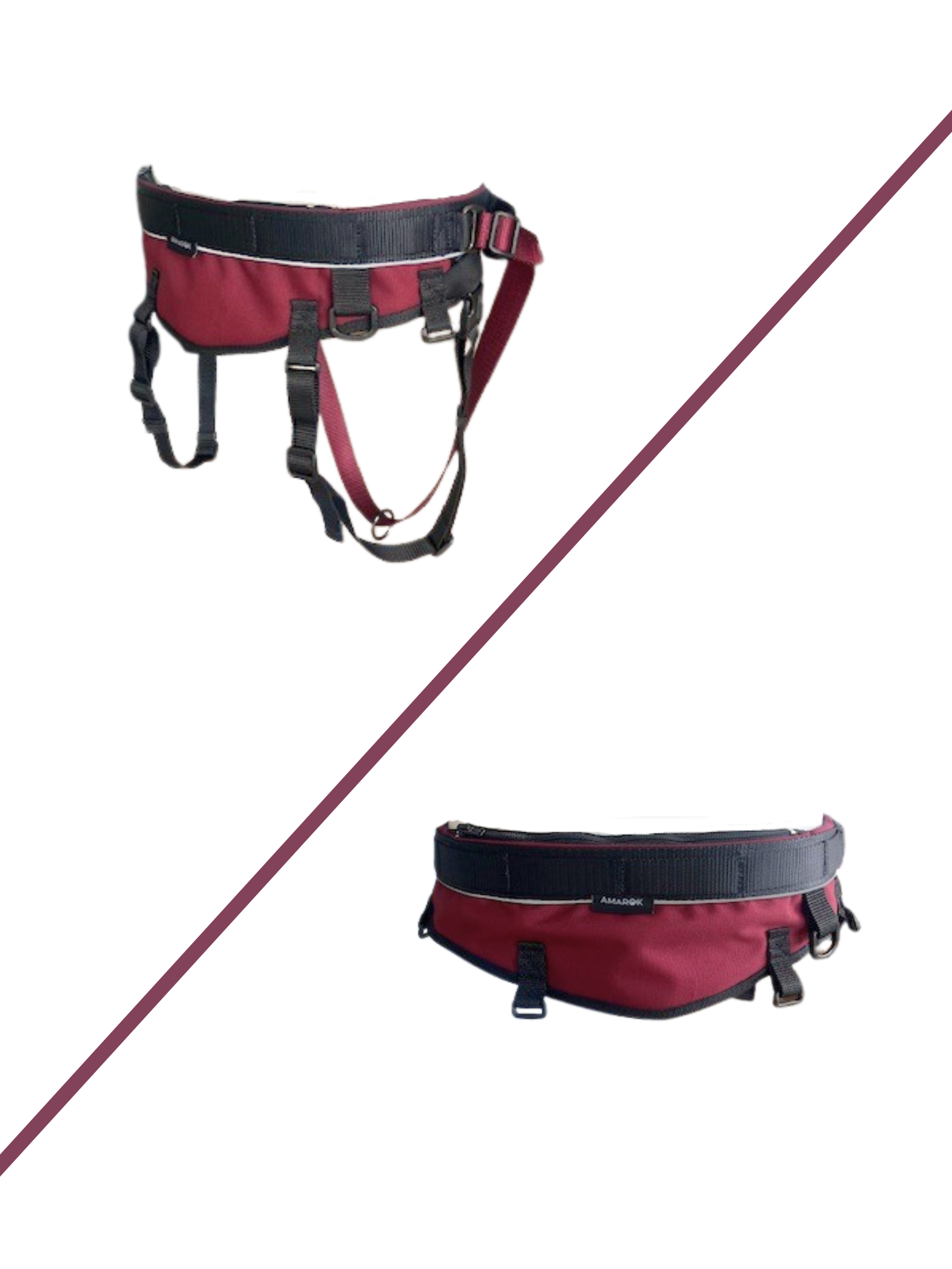 Ceinture canicross CORE – Ceinture mains libres pour la marche, le jogging et le canicross