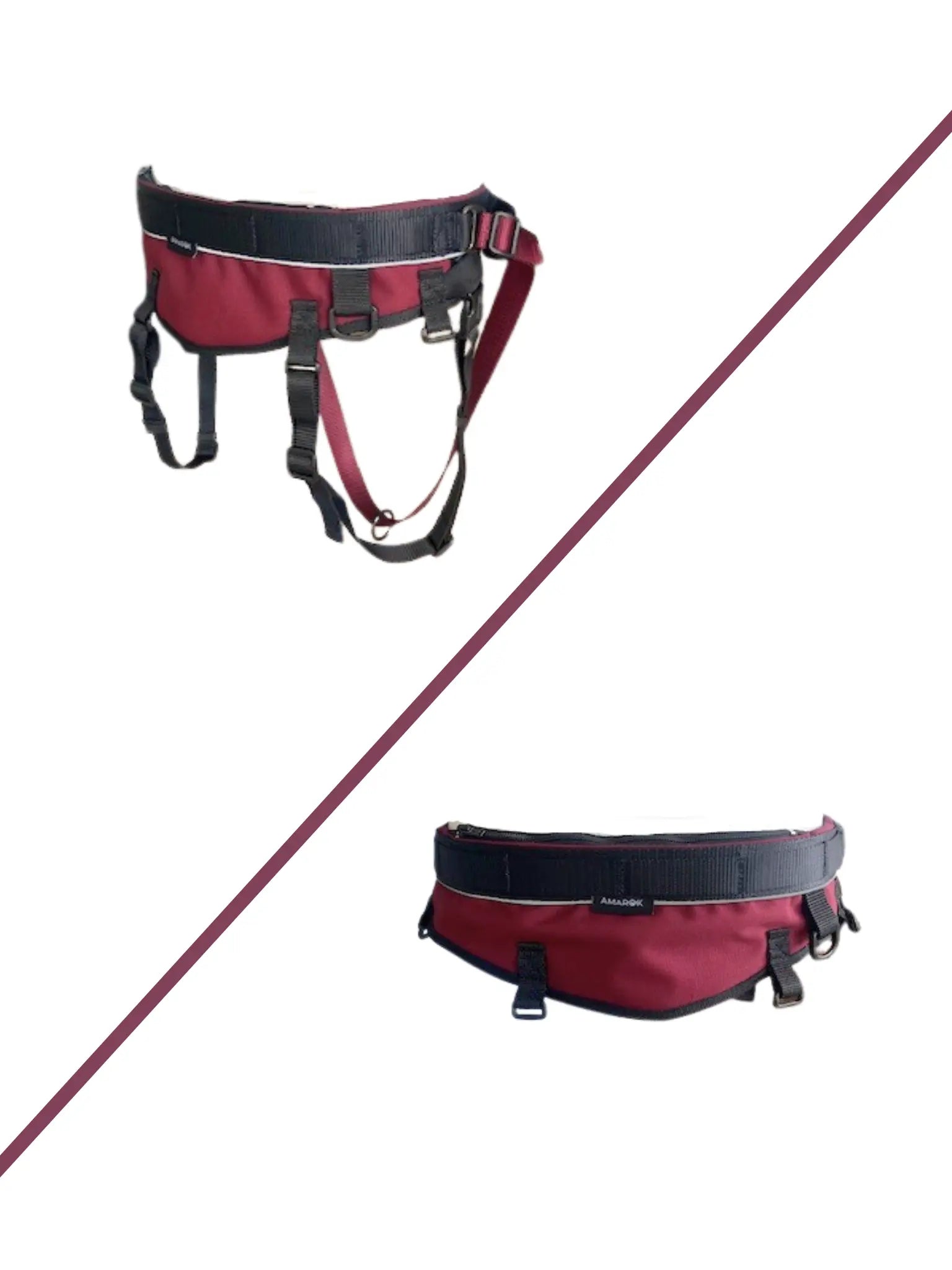 Ceinture canicross CORE  – Ceinture mains libres pour la marche, le jogging et le canicross Amarok