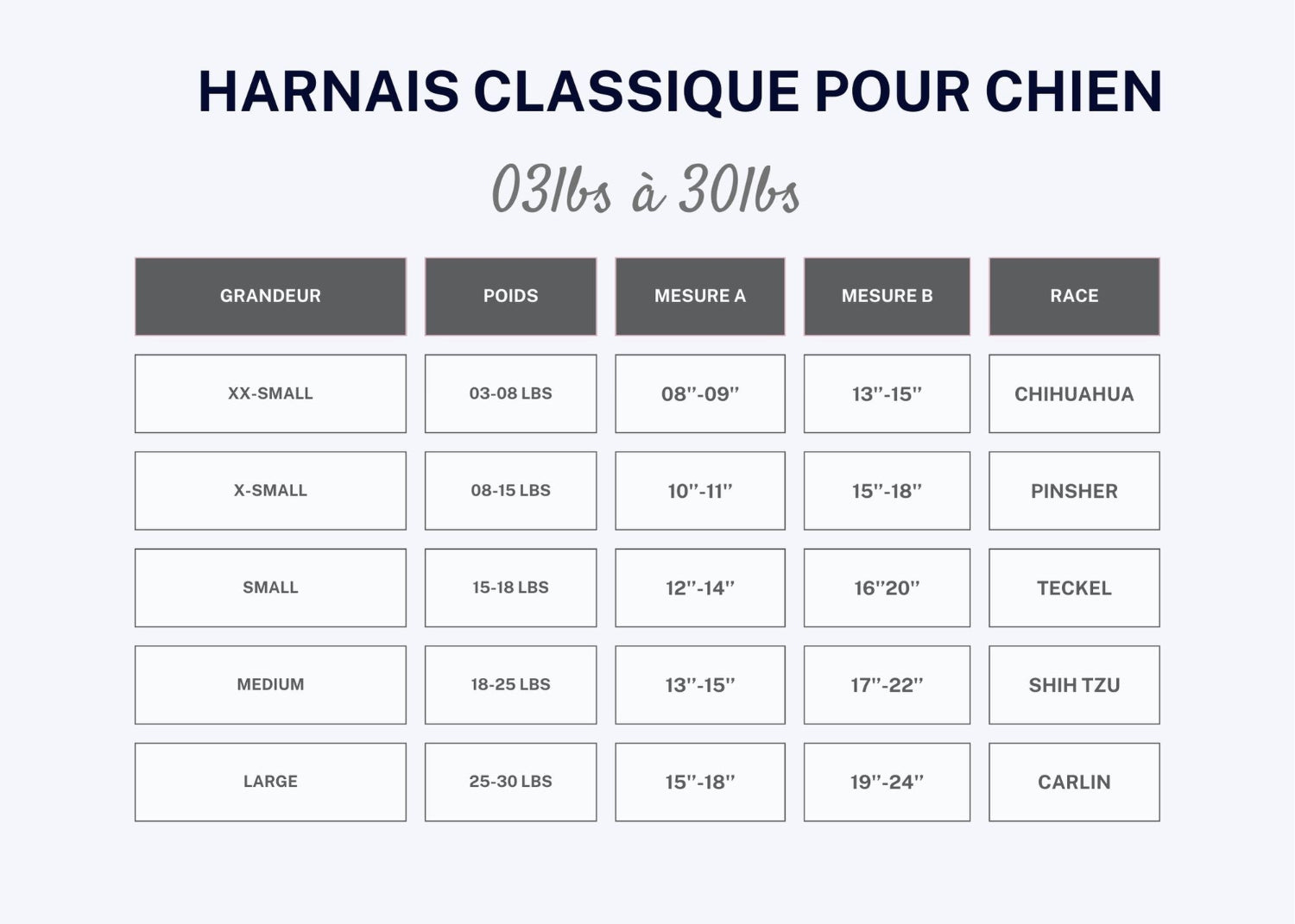 Photo de la charte de grandeur pour les harnais classique pour petits chiens