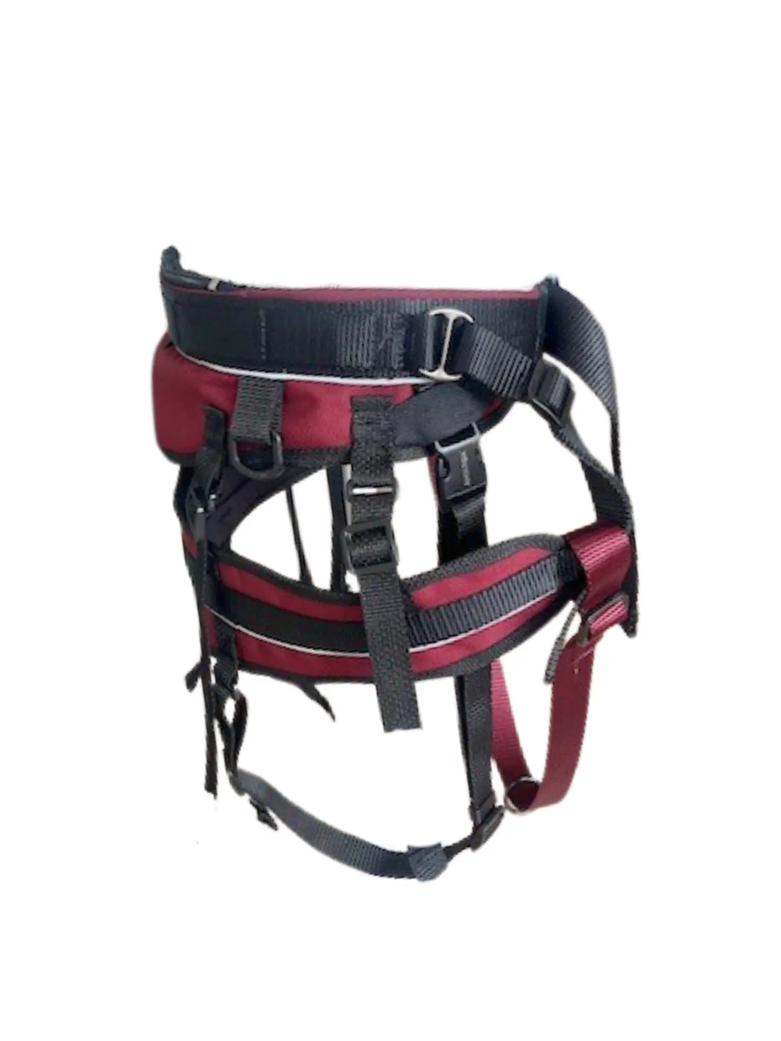 Ceinture de canicross Amarok couleur bourgogne Chambertin, ajustable et confortable, conçue pour les sports canins.