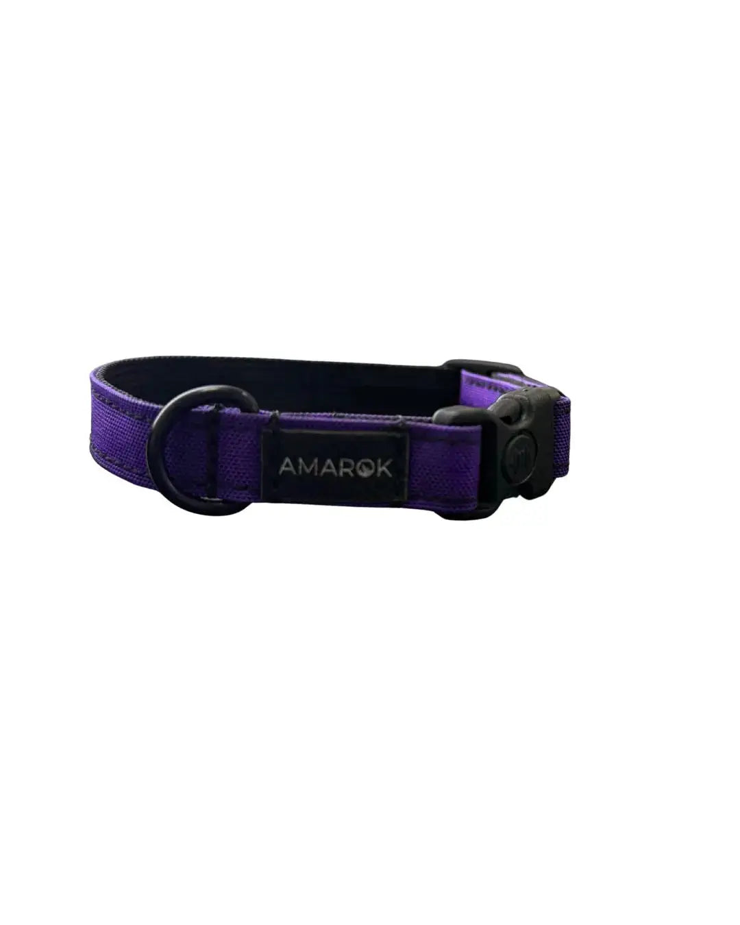Collier pour chien - Aurora Amarok