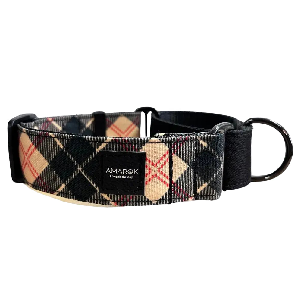 Collier martingale - Oxford Amarok