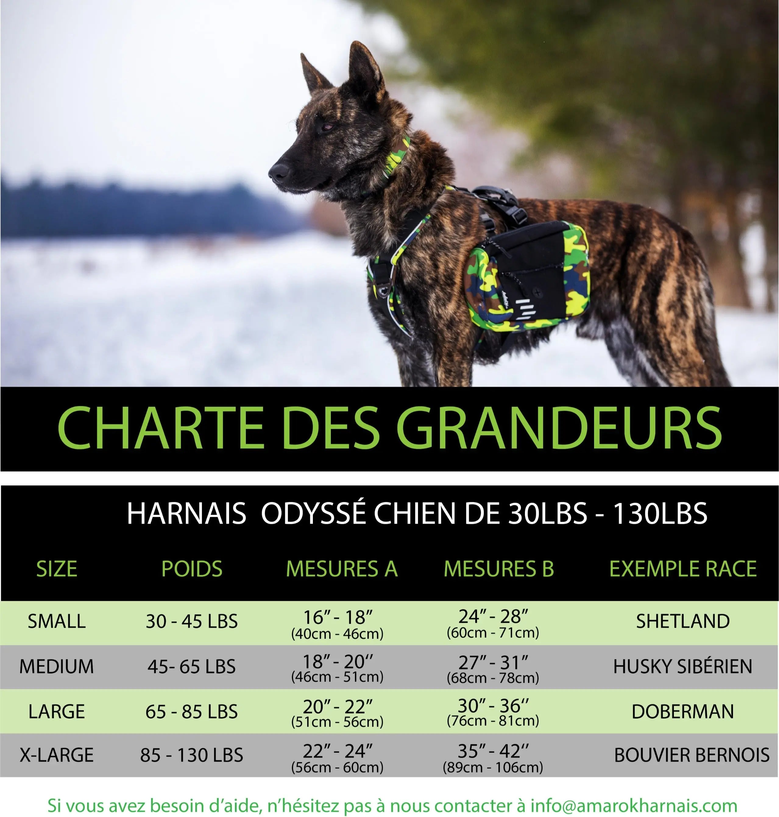 Image de charte de grandeurs pour les harnais Odysée