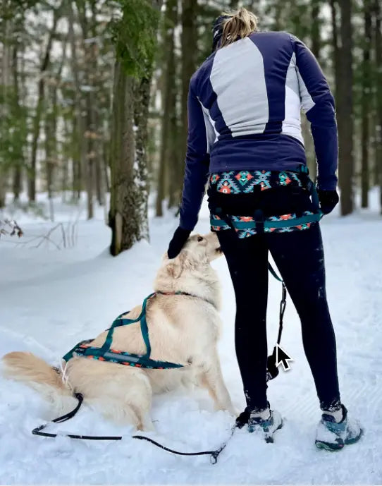 Harnais de traction pour chien - Nomade Amarok