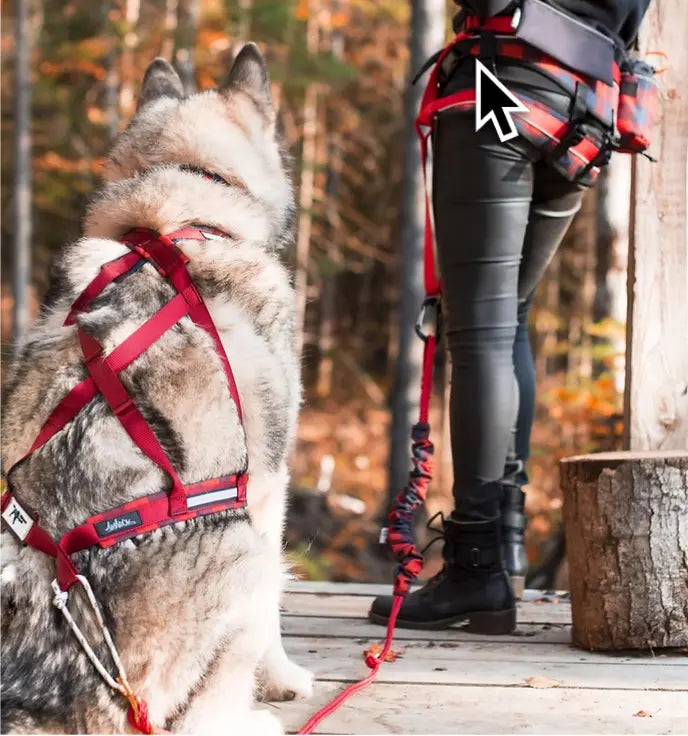 Bungee Canicross Bûcheron Amarok