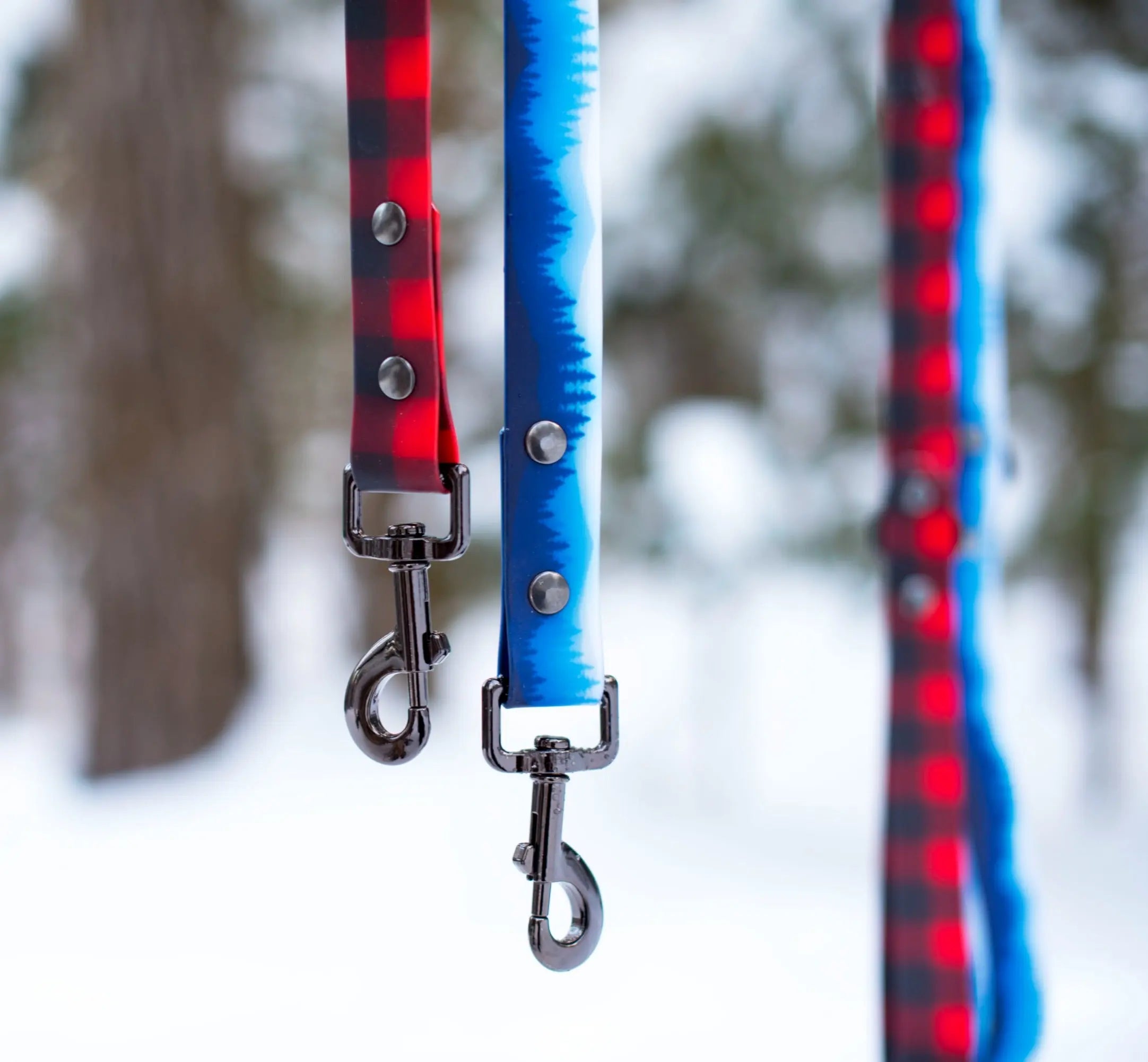 Photo de laisse imperméable en PVC pour chien de la collection Boréal et Bucheron, sur une branche d'arbre
