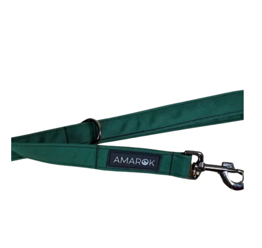 Laisse classique pour chien - Montagnard Amarok
