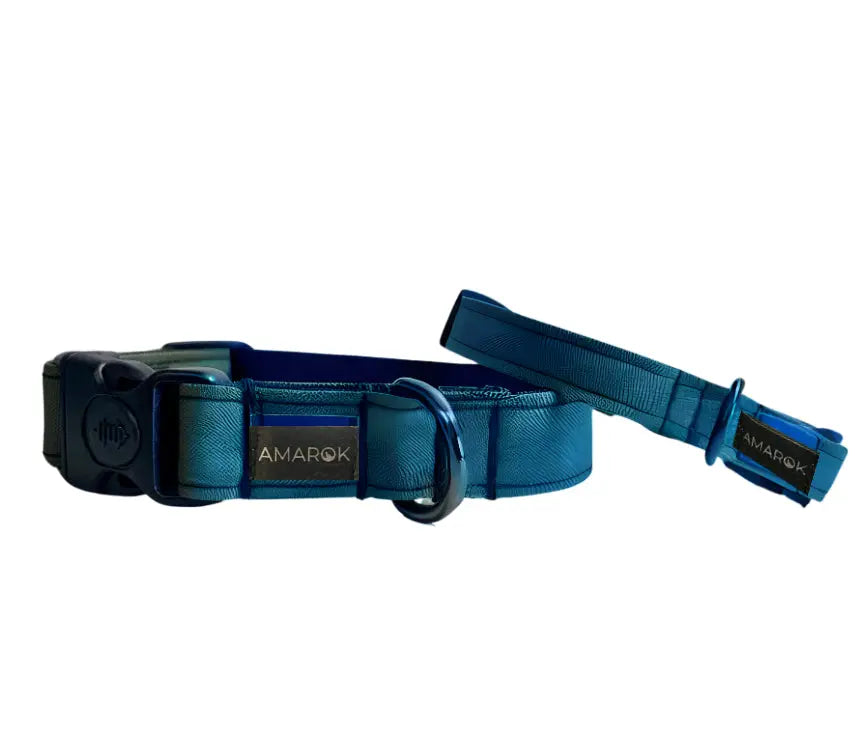 Collier pour chien - Kraken Amarok