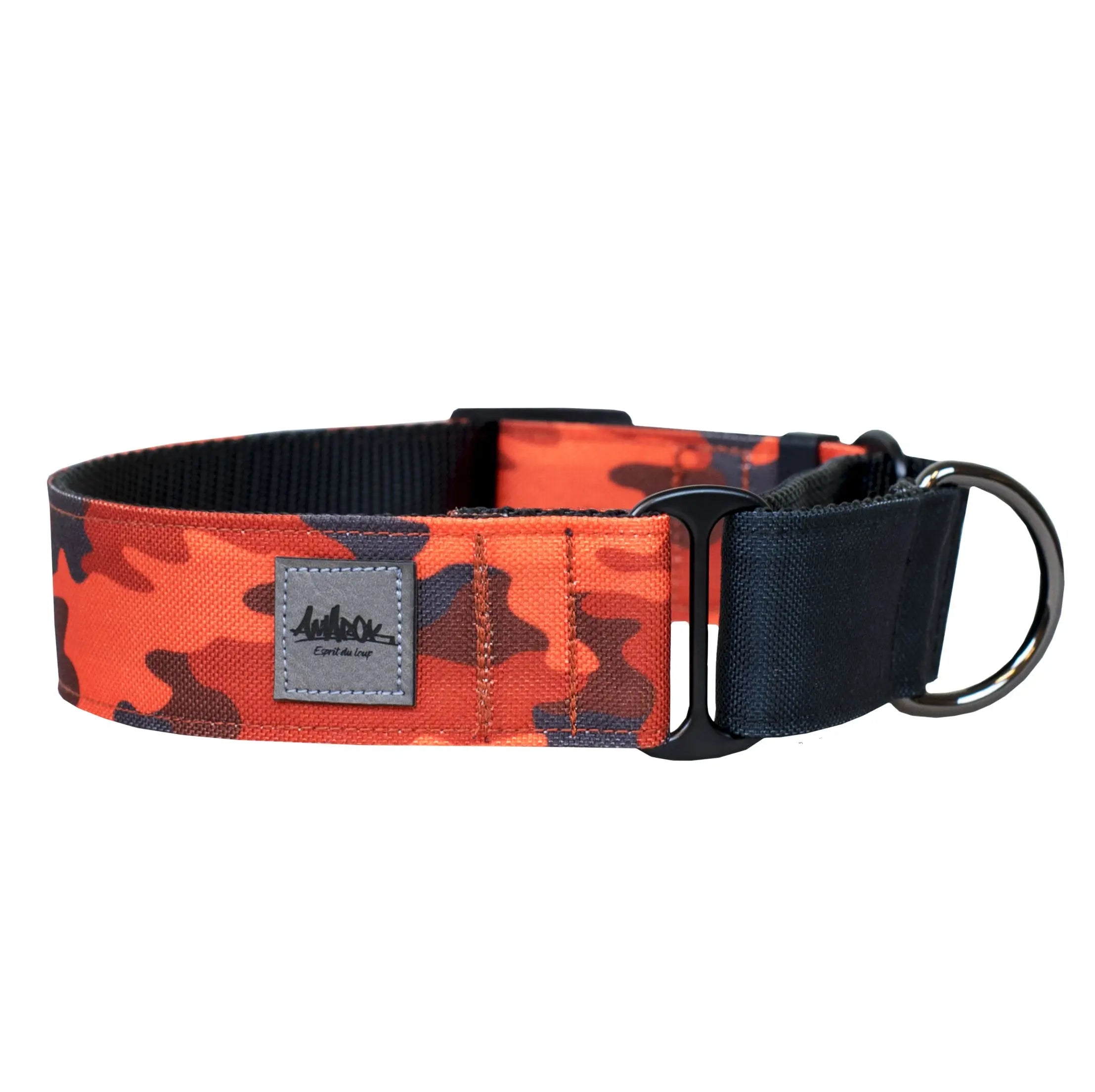 Collier pour chien martingale de la collection Sahara, vue d'ensemble