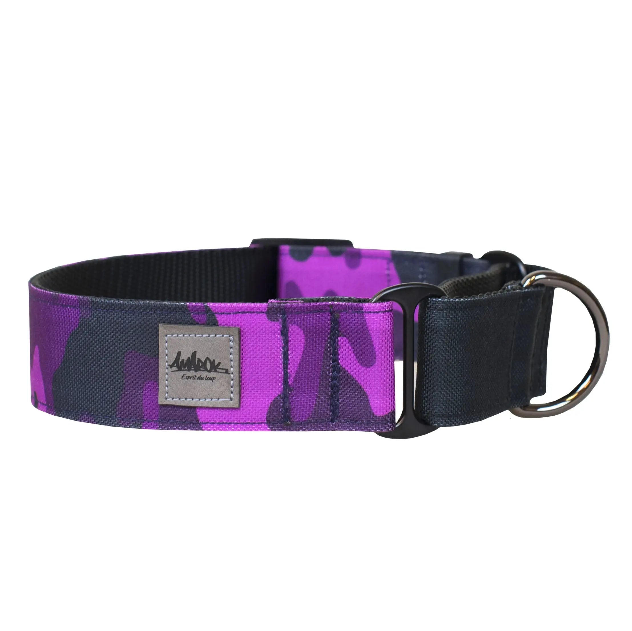 Collier pour chien martingale de la collection Astrid, vue d'ensemble