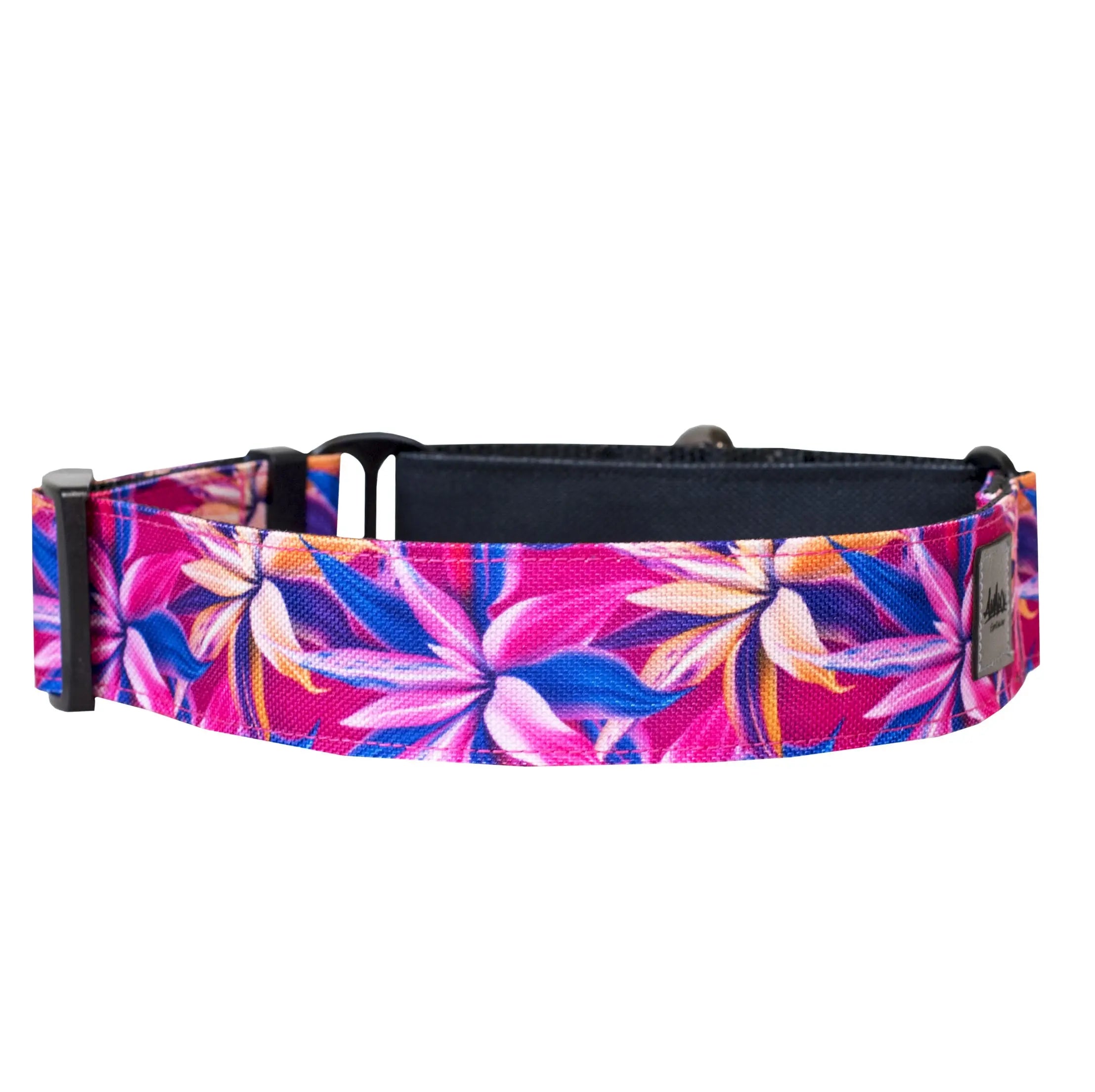 Collier pour chien martingale de la collection Hannaé, vue de dos