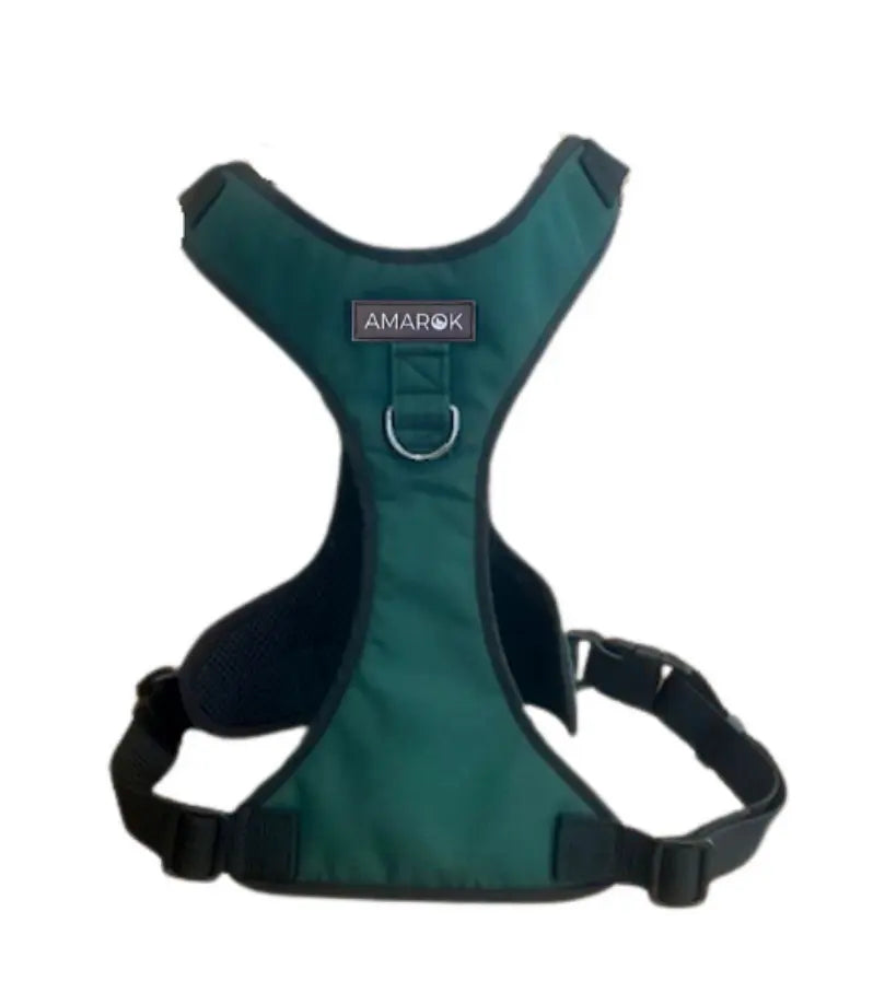 Harnais pour chien - Montagnard Amarok