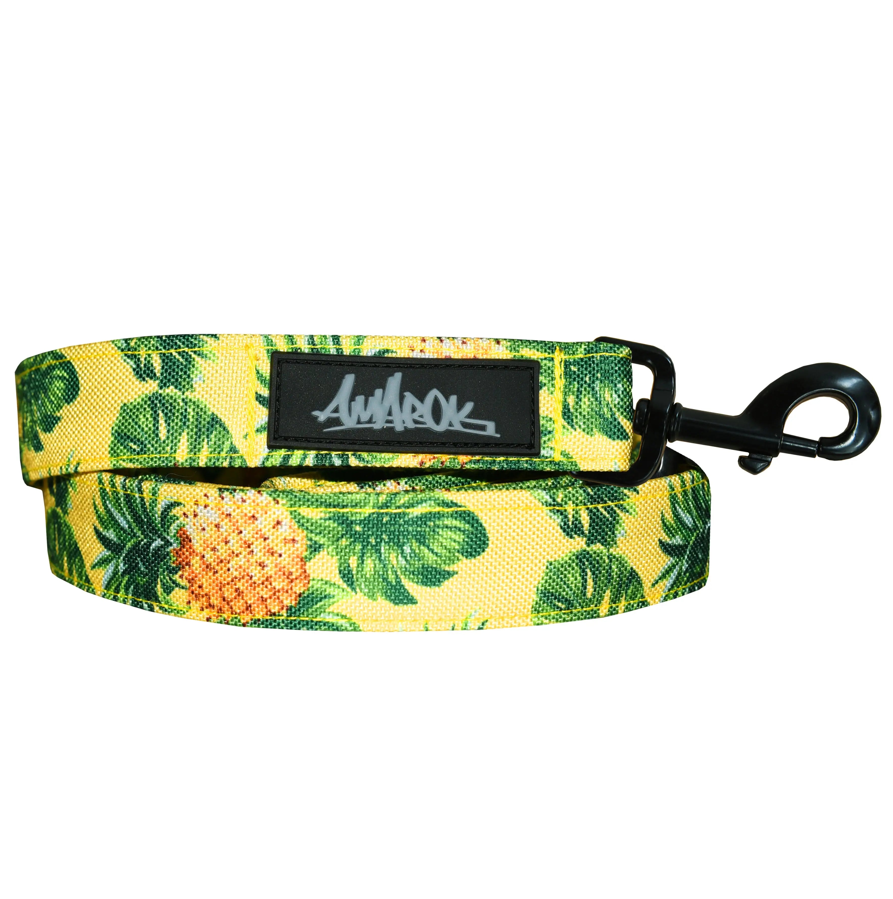 Laisse pour chien en tissus souple et résistant de la collection Pina Colada. Vue de face.