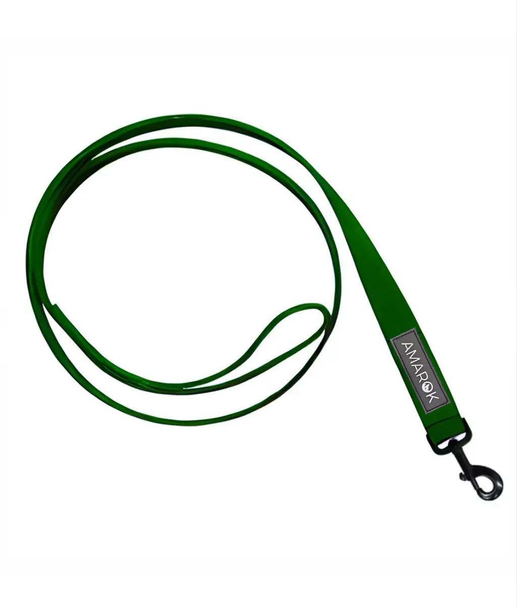 Laisse classique pour chien - Montagnard Amarok