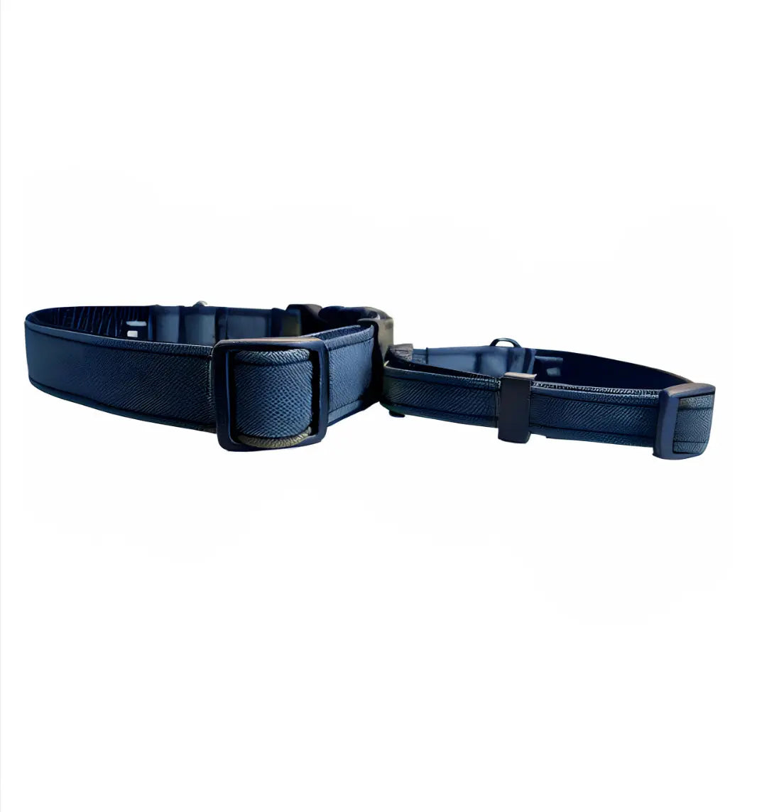 Collier pour chien - Kraken