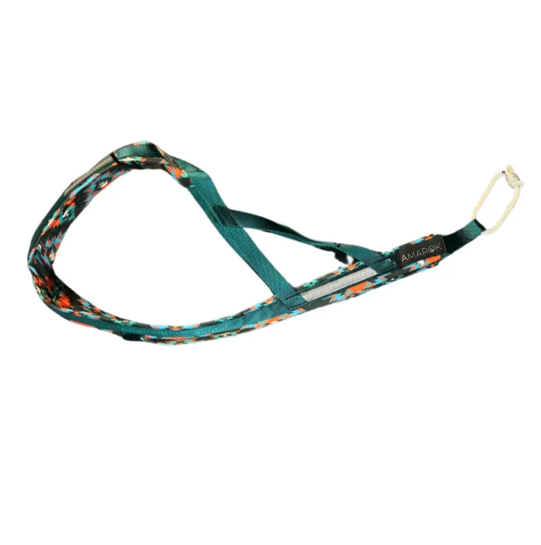 Harnais de traction pour chien - Nomade Amarok