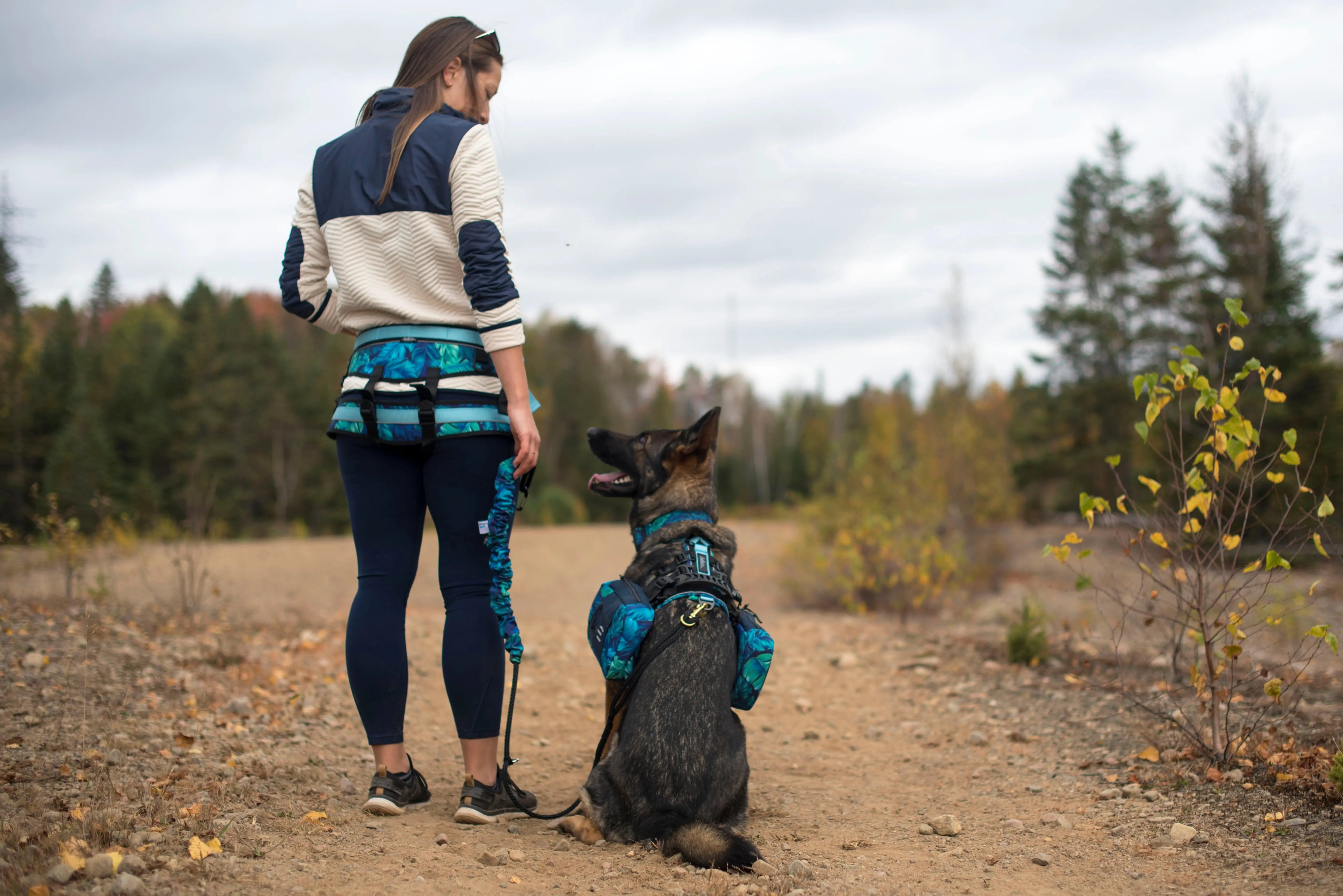 rando-de-printemps Amarok