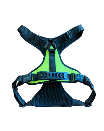 Harnais pour chien - Hati