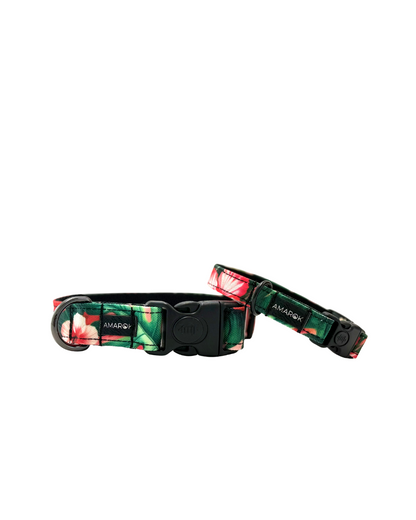 Collier pour gros et collier pour petit chien au design ALOALO. ALOALO Designed big and small dog collars. 