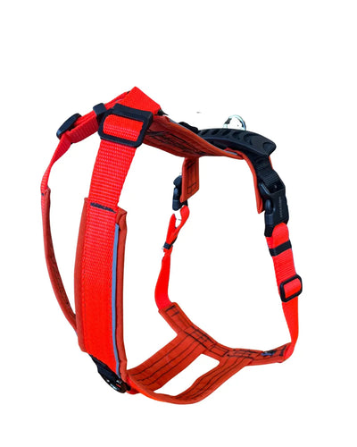 Harnais pour chien Odyssé Helios