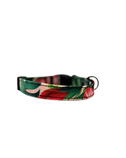 Collier pour petit chien au design ALOALO vue de dos, montant les détails des hibiscus et monstera. 