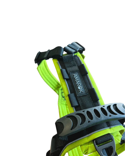 Harnais pour chien Odyssé Hati