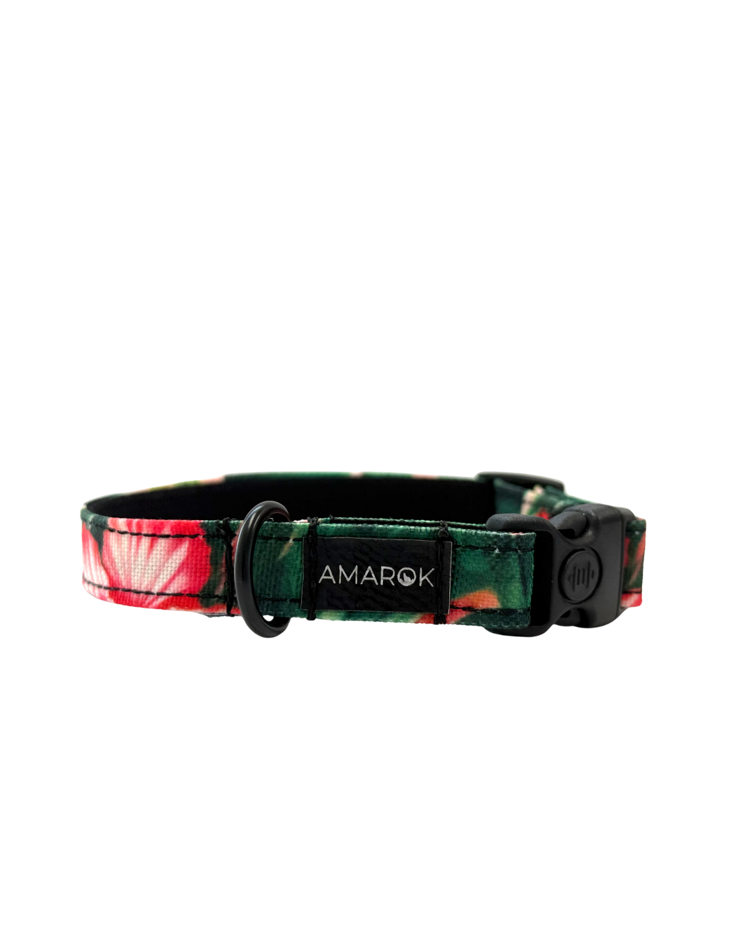 Collier pour chien Aloalo