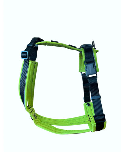 Harnais pour chien Odyssé Hati