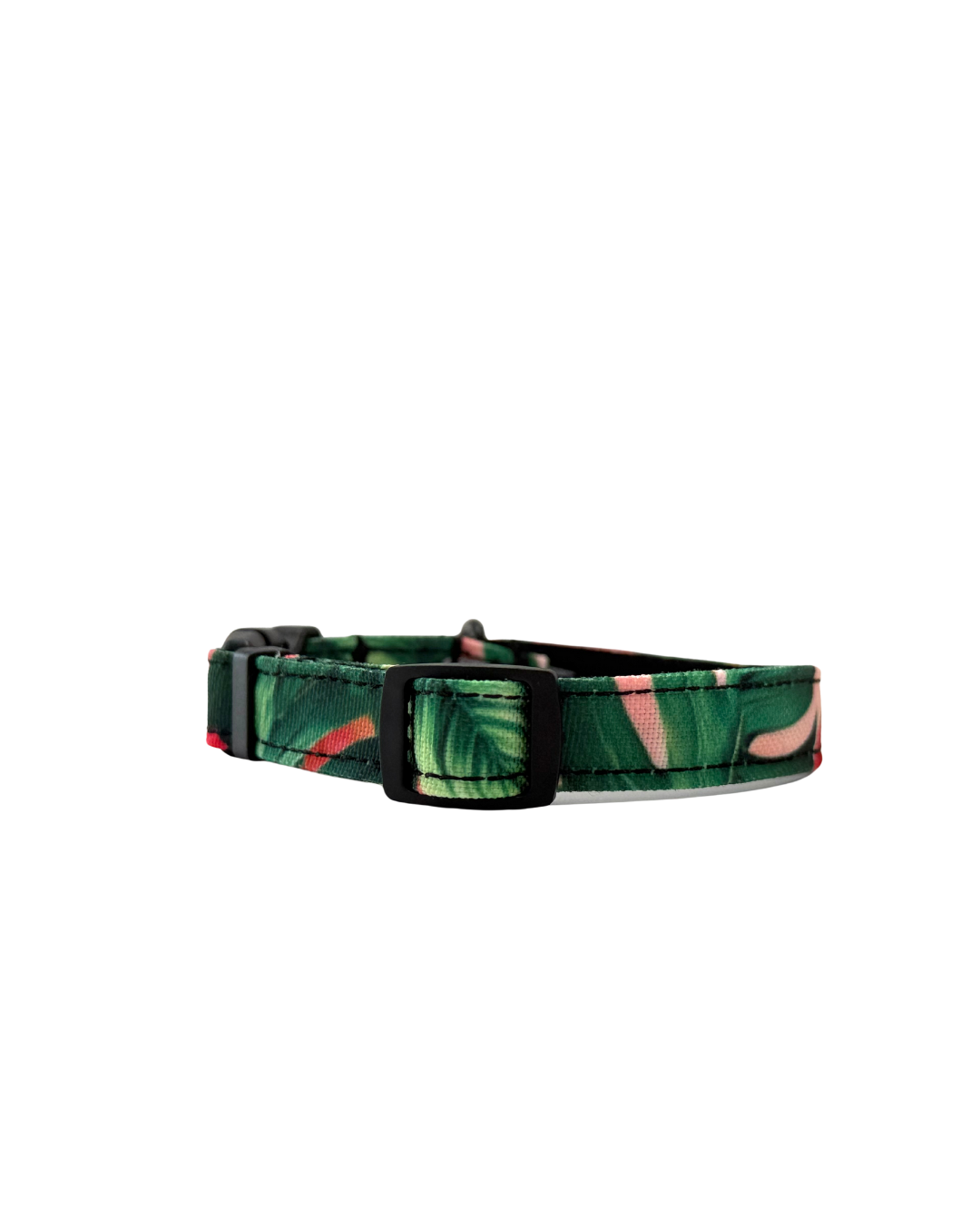 Collier pour chien Aloalo