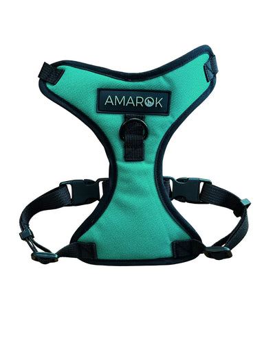 Harnais pour petit chien Banff