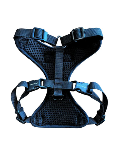 Harnais pour petit chien Helios