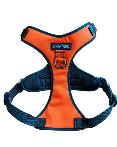 Harnais pour chien - Helios