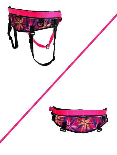 Ceinture canicross CORE  – Ceinture mains libres pour la marche, le jogging et le canicross Amarok