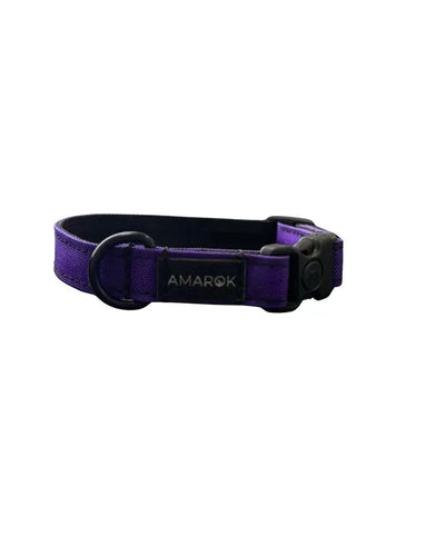 Collier pour chien - Aurora Amarok