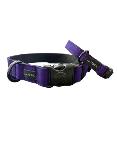 Collier pour chien - Aurora Amarok