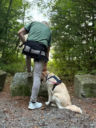 Homme portant la ceinture de canicross Amarok Onyx noir double traction, accompagné de son chien équipé du harnais Odyssé Montagnard vert.