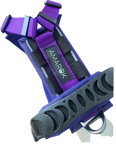 Harnais pour chien Odyssé Aurora Amarok