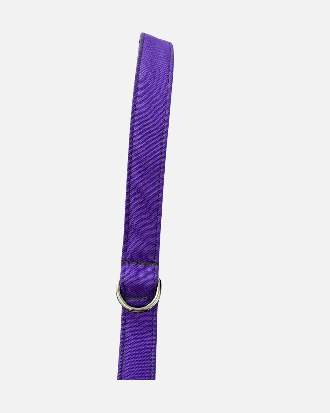 Laisse pour chien Aurora Amarok