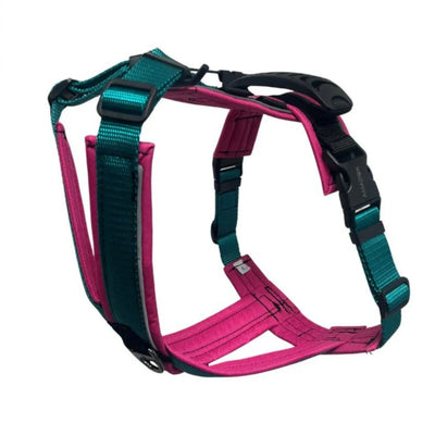 Harnais pour chien Odyssé Harmonie Amarok