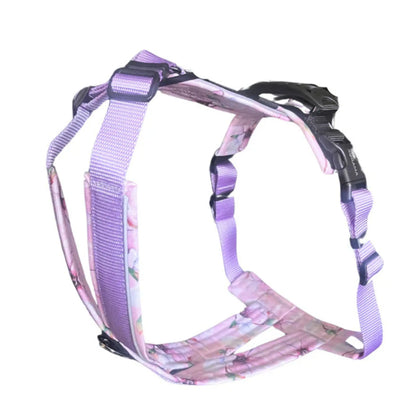 Harnais pour chien Odyssé Myosotis Amarok