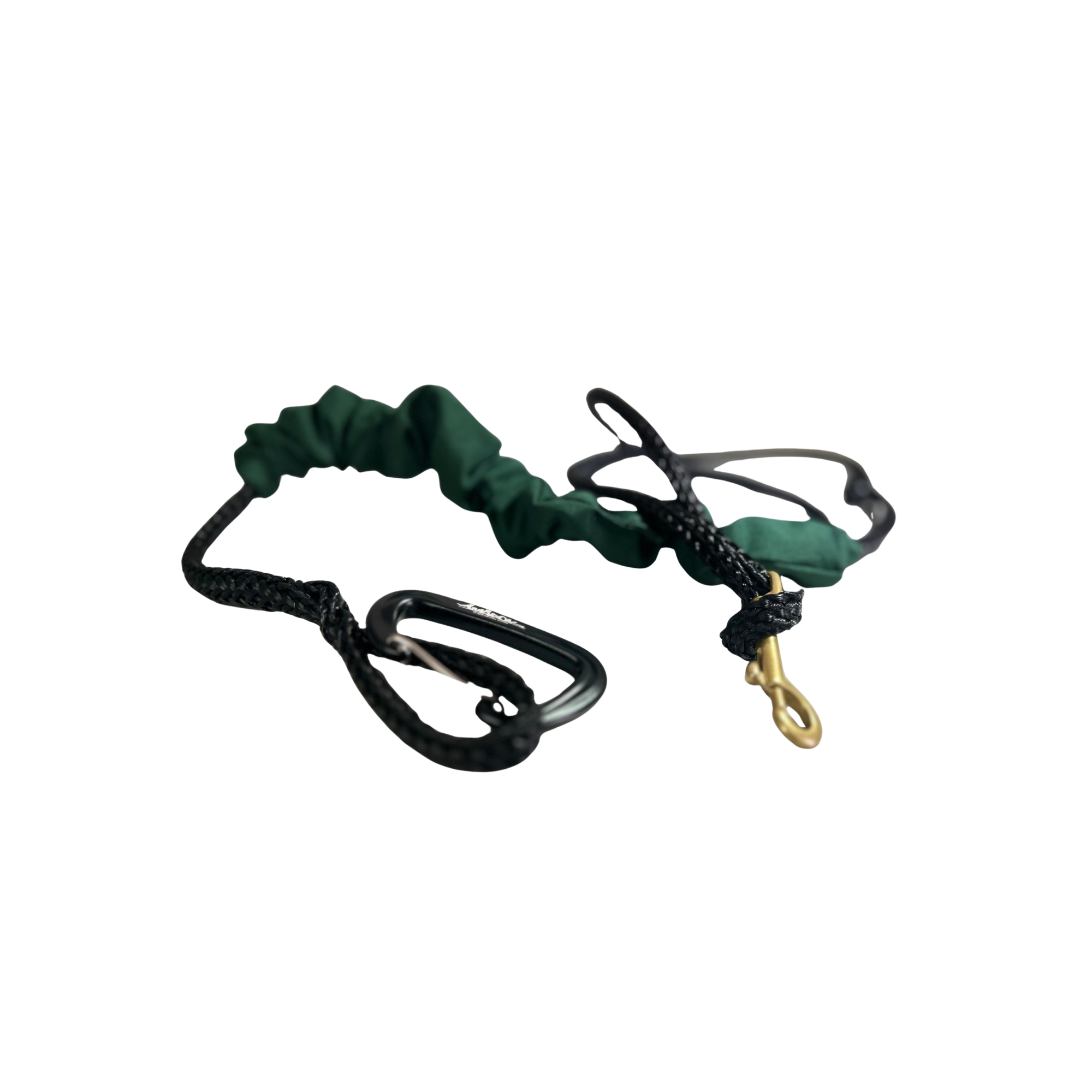 Bungee canicross - Montagnard