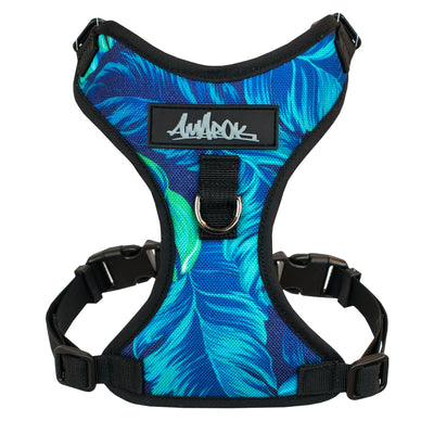 Harnais hawaïen pour petit chien – vue de face.Hawaiian harness for small dog – front view

