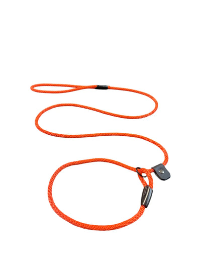 Laisse d'entrainement Amarok