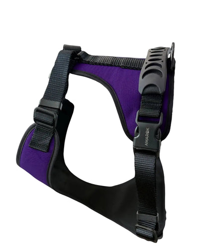 Harnais pour chien - Aurora Amarok