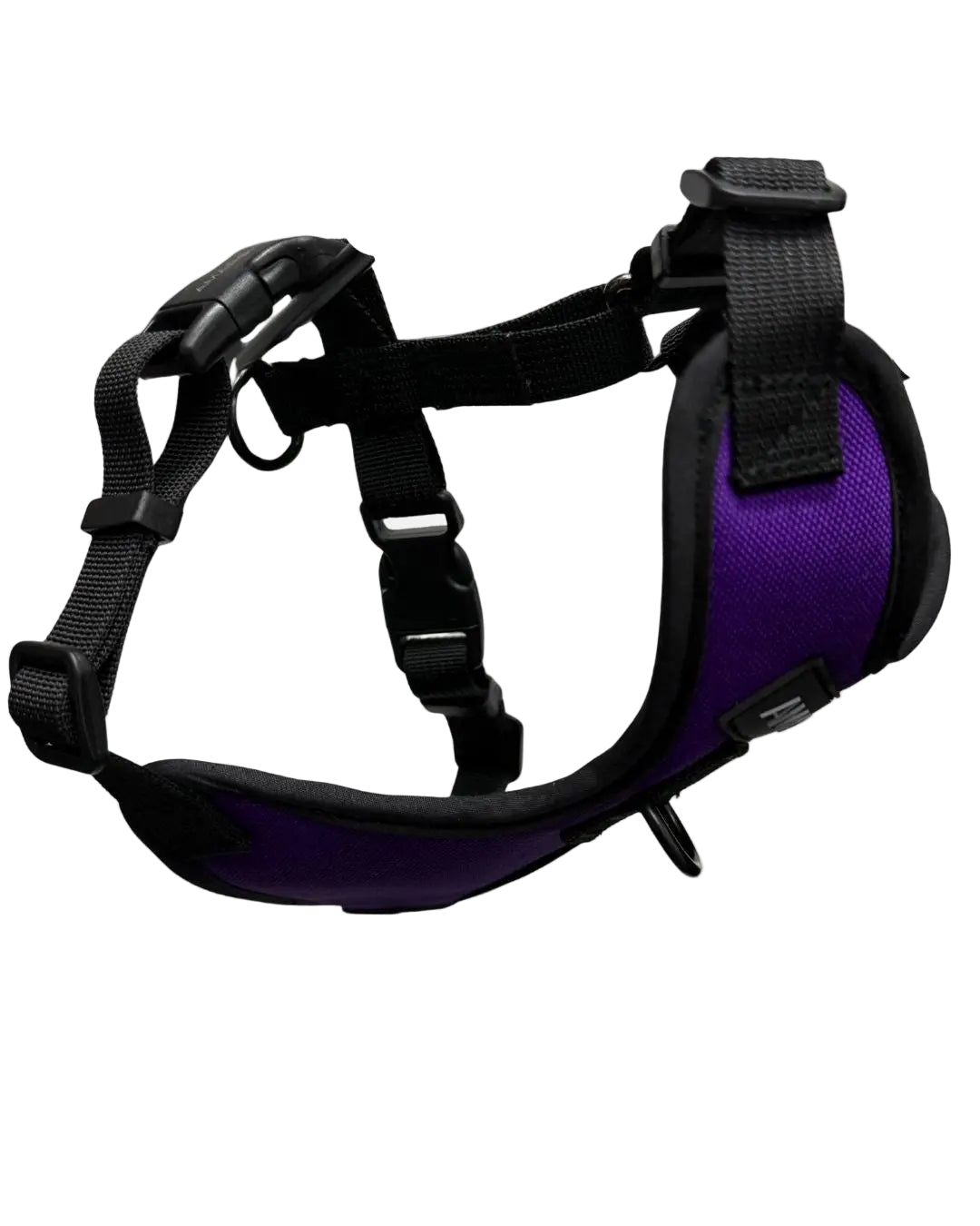 Harnais Pour Petit Chien Aurora Amarok