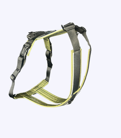 Side view of the Odyssey dog harness in the Ribera collection– Y-shape structure and sturdy buckles
