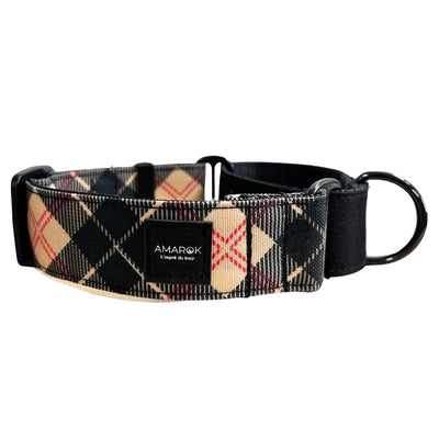Collier martingale - Oxford Amarok