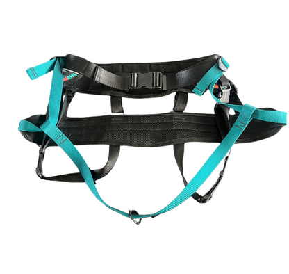 CEINTURE CANICROSS NOMADE